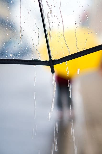 下雨圖片|超过 400 张关于“下雨天”和“雨”的免费图片